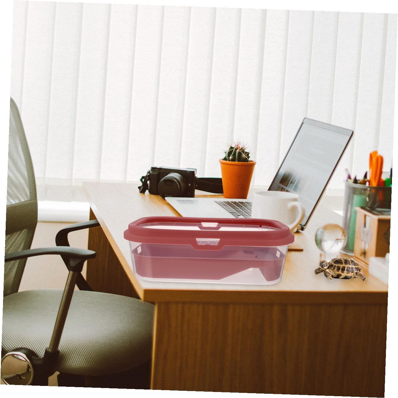 Plastic Turtle Feeding Tank Basking Terrace Reptile Habitat for Tortoise Easy to Clean Non-Slip Ramp for Exercise Suitable for Home Use Pink