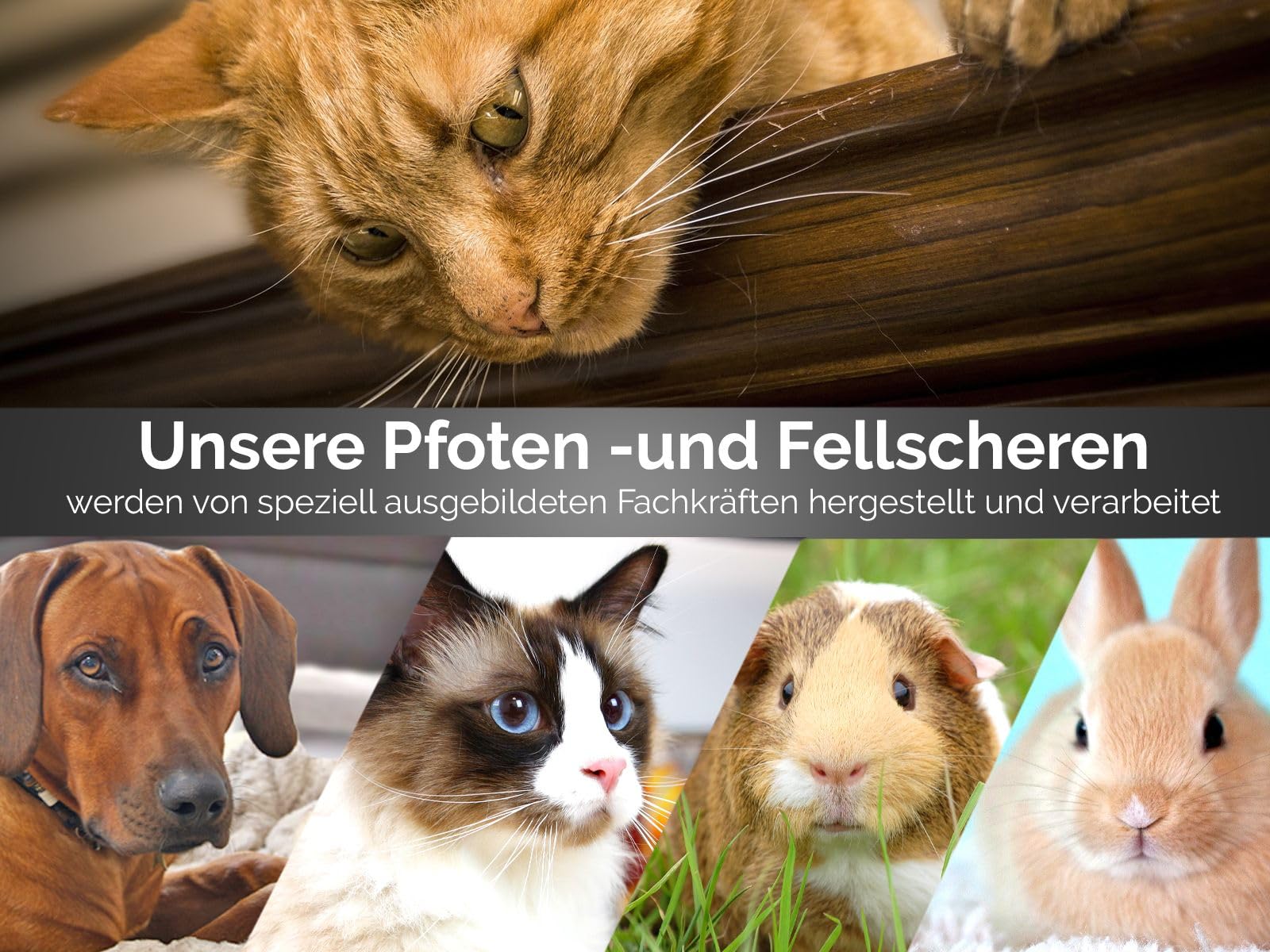 Fellschere Pfotenschere mit einseitiger gebogener Schnittfläche und Mikroverzahnung Haarschere zur Pfotenpflege von Hunden & Katzen 10,5 cm