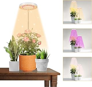LED Grow Light 1-Pack GooingTop,Halo Plant Lamp for Indoor Plants Growing, White Circle Low Light for Bonsai Succulents Mi...