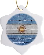 3dRose National Flag of Argentina Painted onto a Brick Wall Argentinan Argentinean Argentinian 3 inch Snowflake Porcelain Ornament
