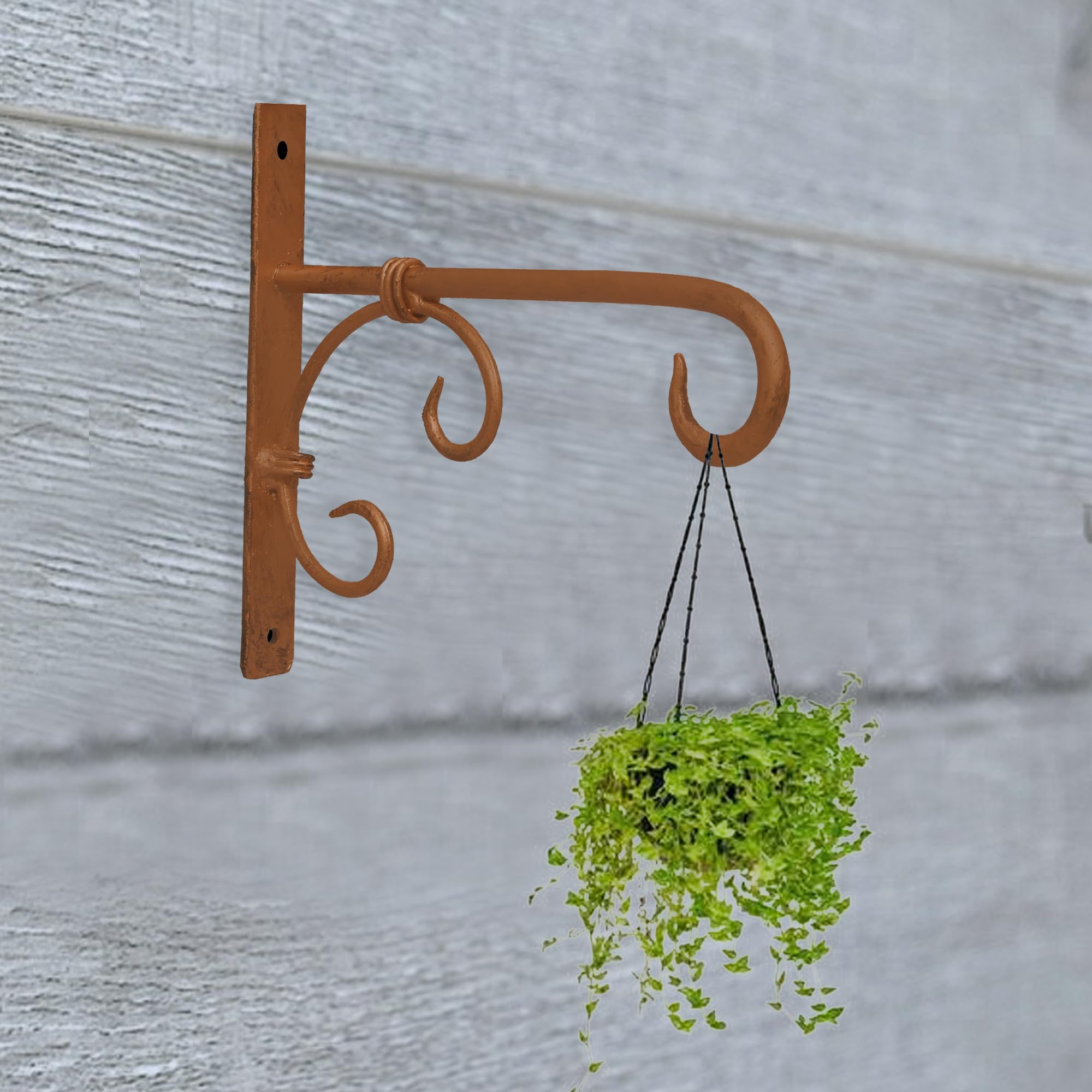 Wall Hanging Bracket Hook, Golden, Iron, Decorative Scroll Design, for Hanging Baskets and Plants-image-47
