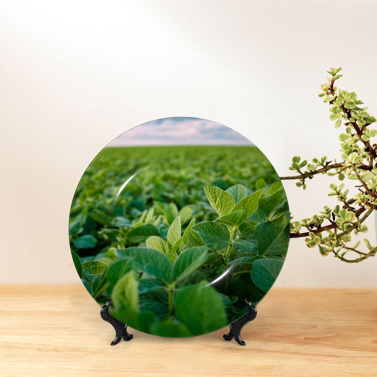 Decorative Plate 10in Bone China Dessert Plates with Display Stand Ceramic Ornament Ceramic Soybean Field Decorative Plates Art Crafts Porcelain Plate for Home Club Living Room