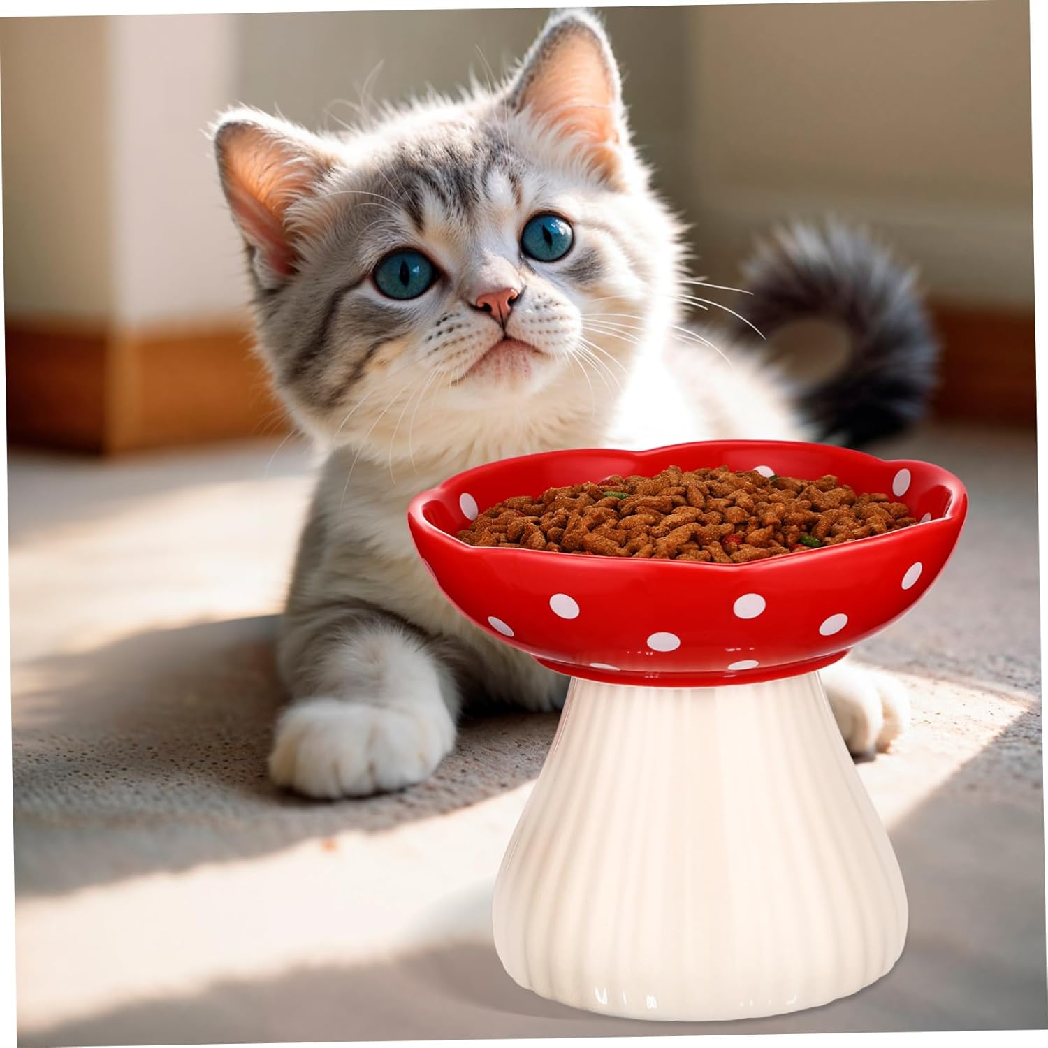 Whisker-Friendly Cat Elevated Ceramic Cat Bowl Whisker Fatigue Pet Supplies