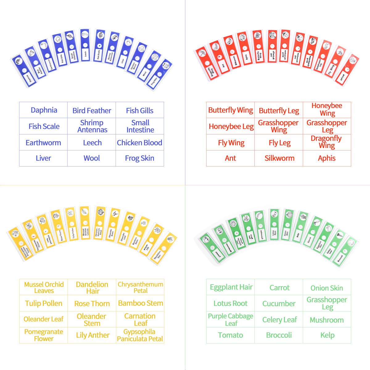 Plastic Prepared Microscope Slides for Kids, Cainda 48pcs Animals Insects Plants Flowers Sample Microscope Slides with Specimens for Students Adult Biology Science Programs (Microscope Slides)