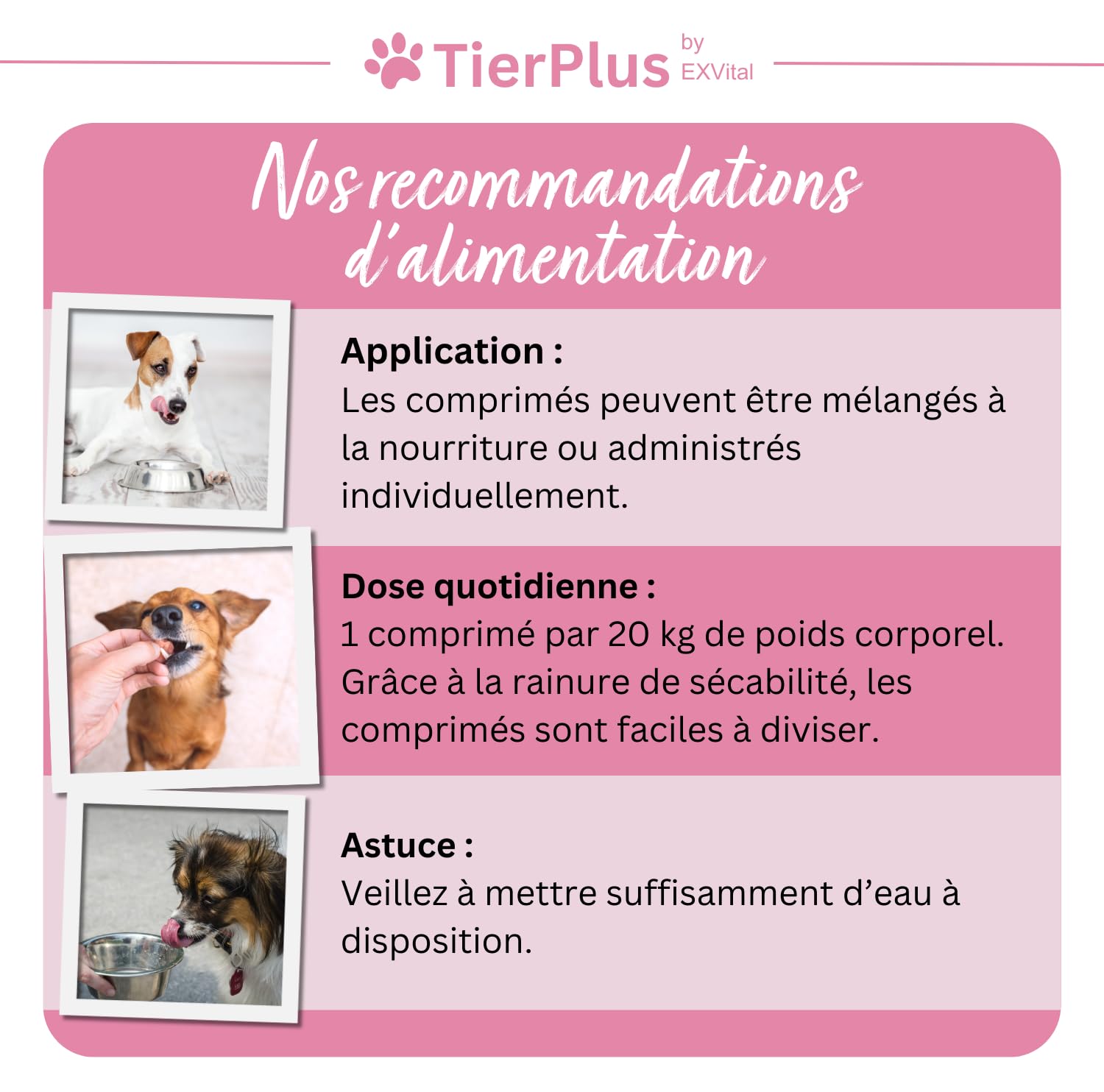 TierPlus Haarpracht, complexe de biotine hautement dosé pour chien, contre la chute des cheveux, les démangeaisons et la peau sèche - Pour un pelage brillant et une belle peau, 120 comprimés