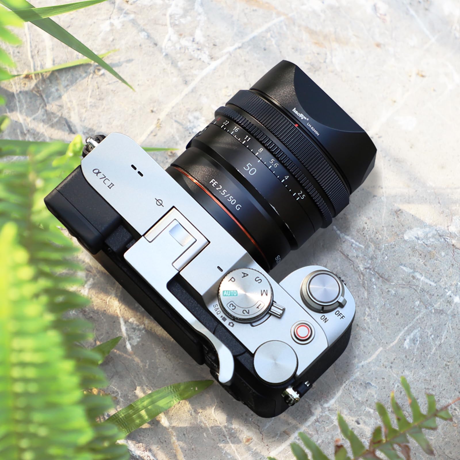 Haoge Paraluce quadrato in metallo a baionetta per obiettivo Sony FE 50 mm F2.5 G FE 40 mm F2.5 G FE 24 mm F2.8 G, RX1/RX1RII/RX1R2/RX1RIII/M3, paralume con tappo LH-S245N