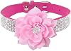 Cute Dog Collar with Bling Rhinestone, Fancy Crystal Diamond Glitter Pretty Jewel Soft Cat Collars for Small Medium Large Breed Dogs Girl Female Pet Puppy Kitten Terrier (S, Black1)