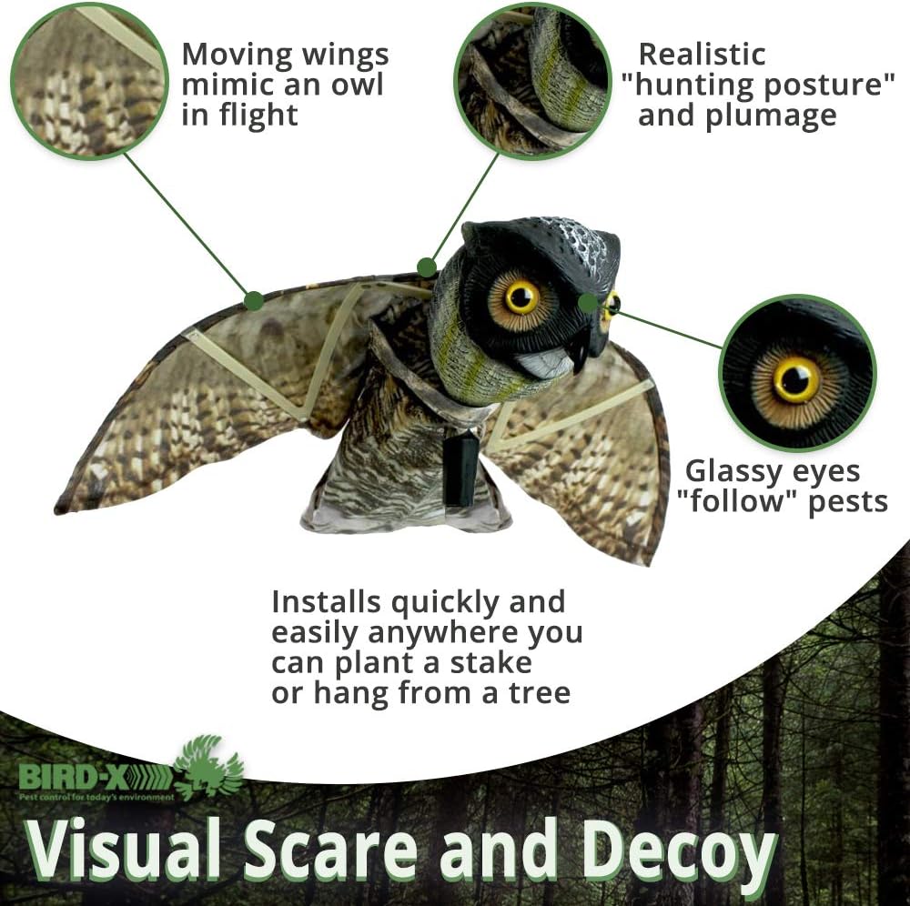 Bird-X Prowler Owl Decoy with Moving Wings 3D Bird Scare Eye Balloons (3 Count)