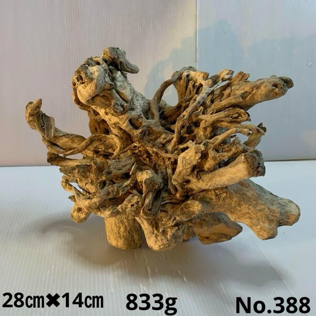 アク抜き済み流木　No.399 ずっしり　置き方いろいろ 本物 アク抜き済み流木 No.399 ずっしり 置き方いろいろ あく抜き不要