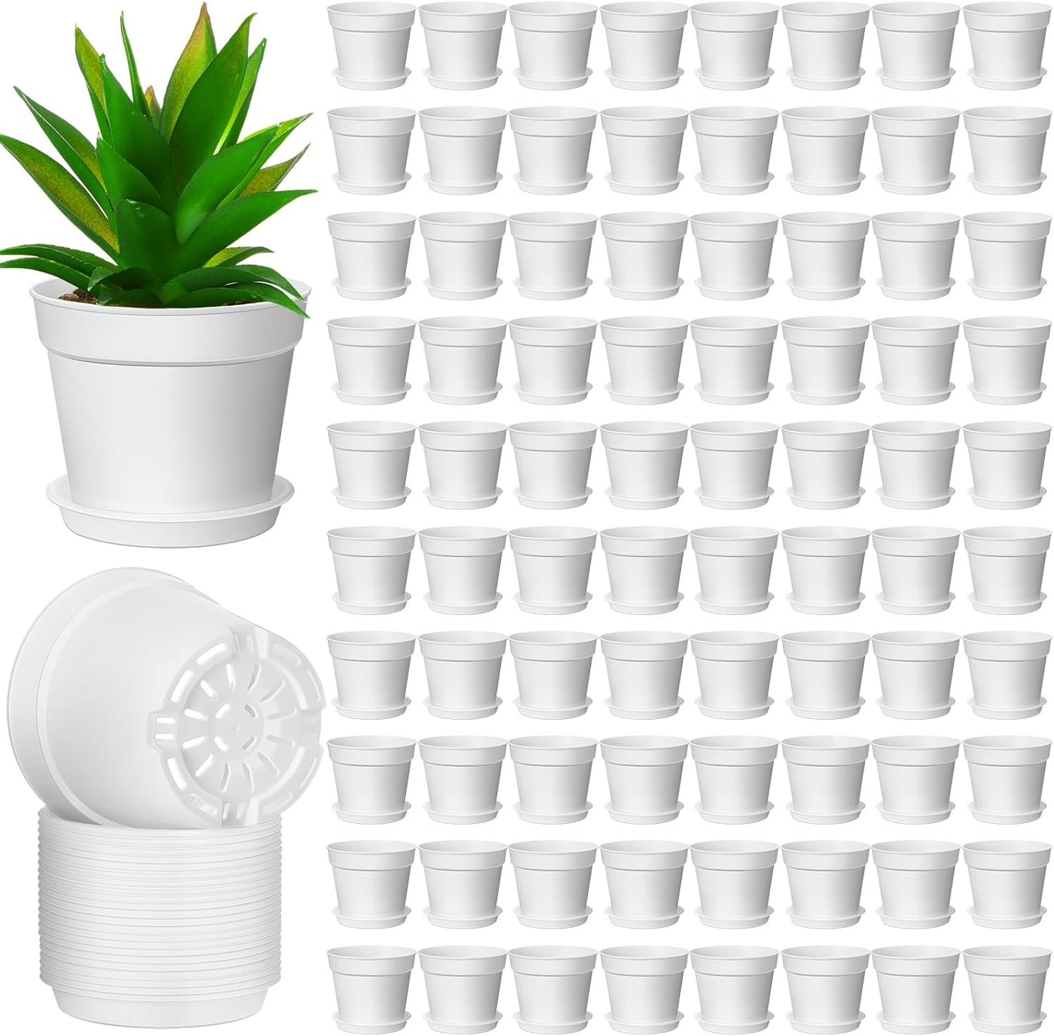 Patelai 4 Inch Small Plant Pots Plastic Planters with Drainage Holes and Saucers Seed Starting Pots for Plants Flowers Succulents(White,80 Pcs)