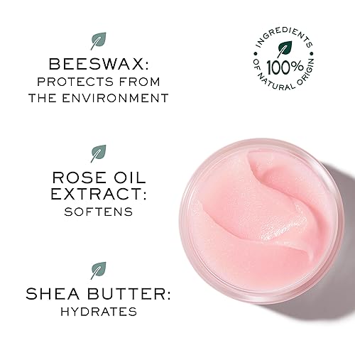 Miniatura 4 de NUXE Very Rose - Bálsamo labial orgánico, tratamiento hidratante 100% natural para labios secos con manteca de karité y cera de abejas, 0.52 onzas