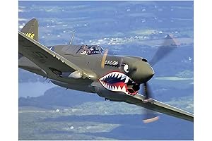United States Air Force, P-40 Warhawk - Military Wall Art