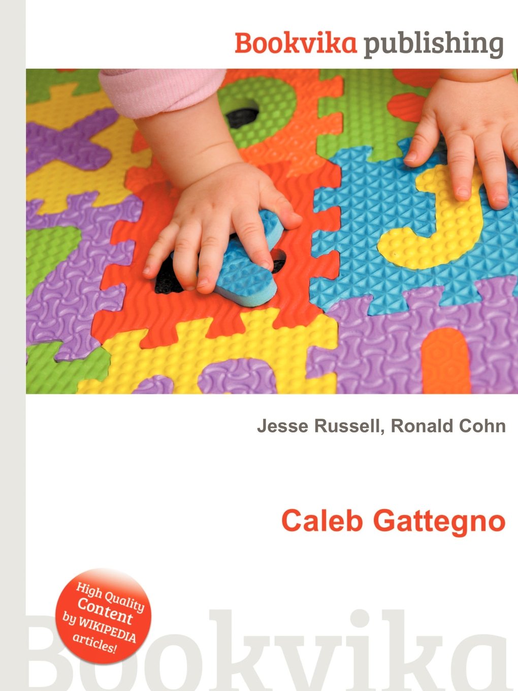Caleb Gattegno Paperback – 12 January 2013