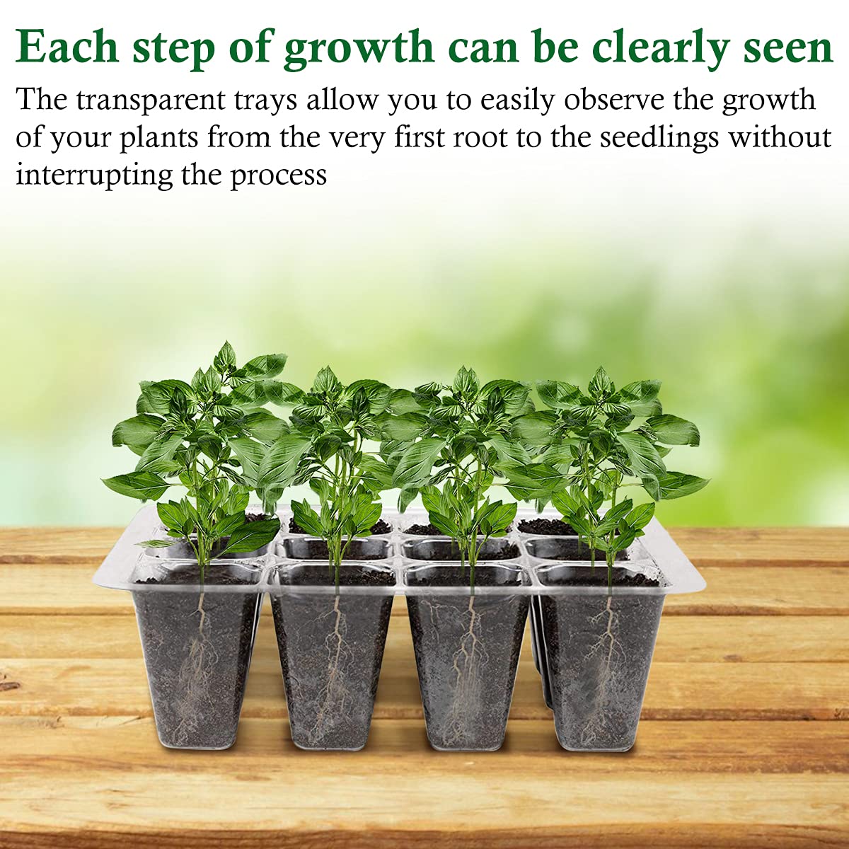 Toyvian 2 Ensembles Kit De Plateaux De Germination Pour