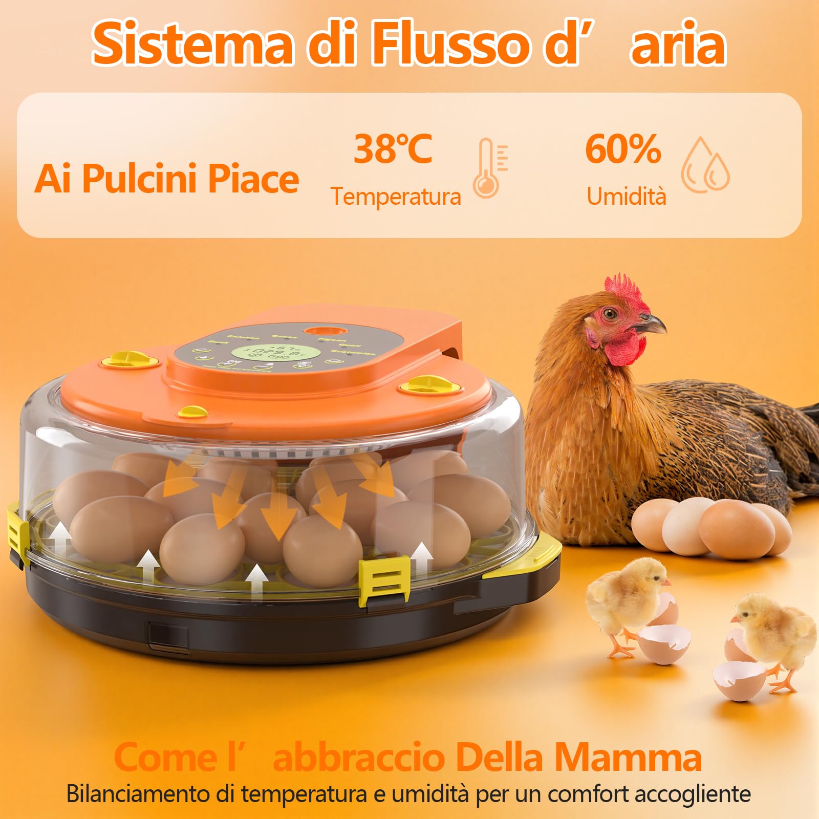 Incubatrice per Uova Automatica, Diealles Shine Incubatrice per Uova 15 con Tornitura Automatica delle Uova e Umidificazione Automatica, Incubators con Controllo della Temperatura