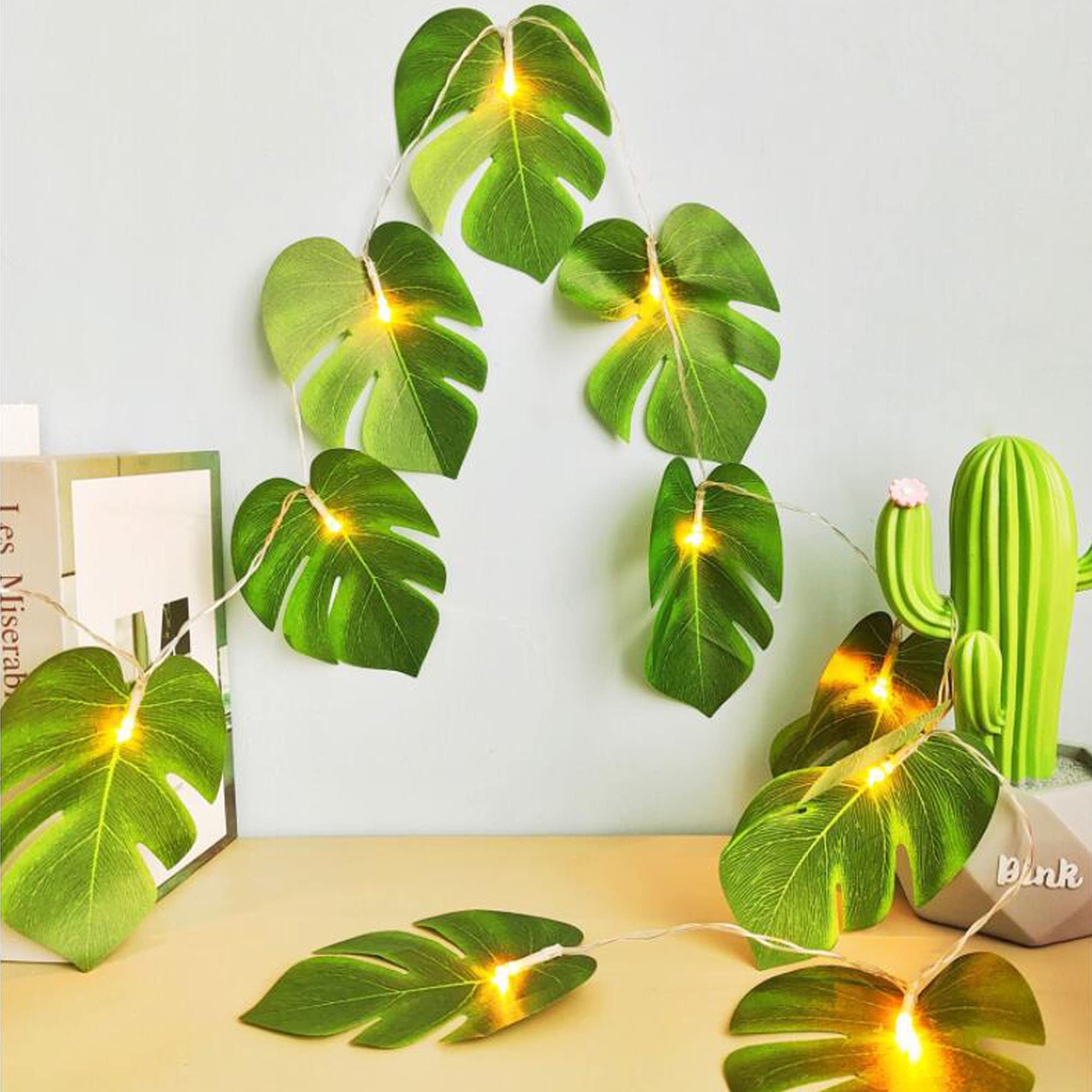 philodendron cordatum heartleaf Heart Leaf Philodendron 4in