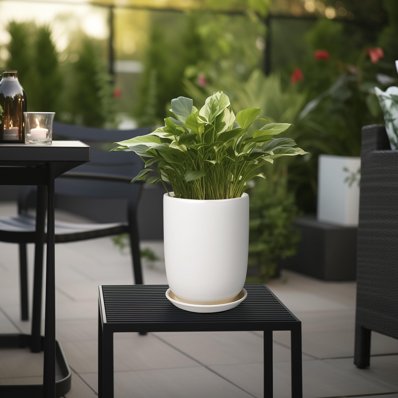 鉢・プランター SRL . PLANT POT SUNPOTFOR Plant Pot 8 Inch - Ceramic Planter for Indoor Plants