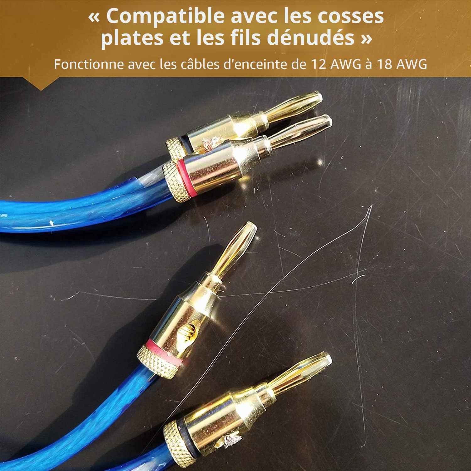 Greluma 10 Pièces Fiches bananes pour haut-parleur, fiches de haut-parleur 4 mm, connecteurs de câble de haut-parleur pour fil de haut-parleur, cinéma maison, plaques murales