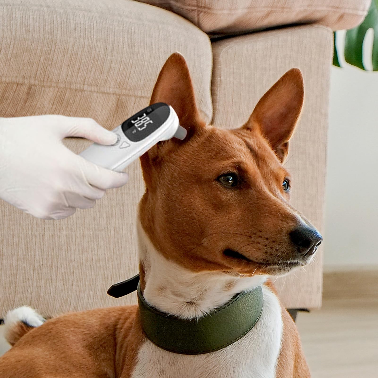 View 3