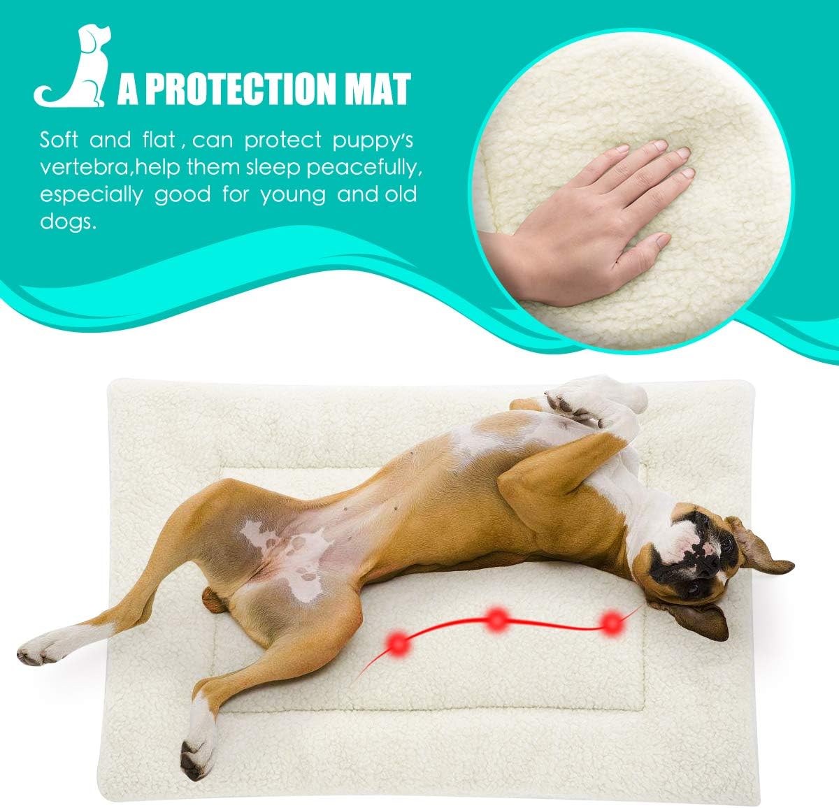 INVENHO Pet Beds for Small, Medium, and Large Dogs and Cats 24" Dog Crate Bed Mat Super Comfort Crate Pad Washable Non-Slip Bottom Mattress Kennel Pad : Pet Supplies