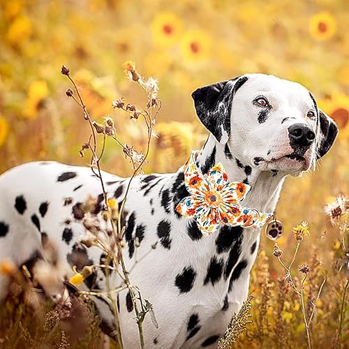 Miniatura 152 de Lionheart glory Collar de perro con bandera estadounidense, collar de flores para perro del 4 de julio, resistente y ajustable, collar patriótico