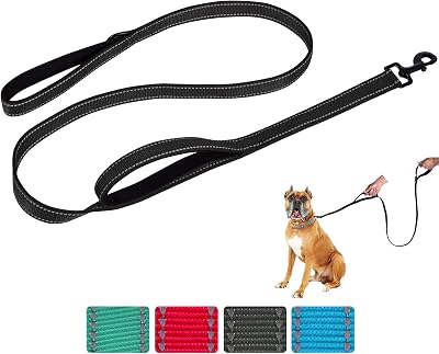 Dog Leash for Medium to Large Dogs with Two Padded Handles 5FT/6FT, Double Handle Dog Leash, Reflective Training Lead, Durable Traffic Leashes(6FT,Black)