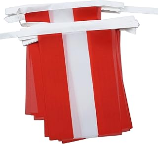 Austria 6 meters BUNTING Flag 20 flags 9'' x 6'' - Austrian STRING flags 15 x 21 cm - AZ FLAG