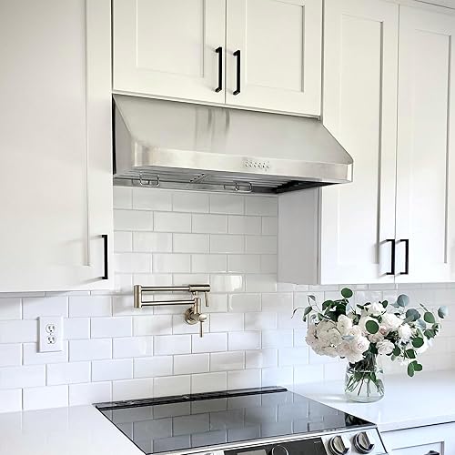 Miniatura 2 de PROLINE Campana extractora de pared de 30 pulgadas, canalizada, 900 CFM, acero inoxidable, luces LED, motor soplador ultra silencioso, 4