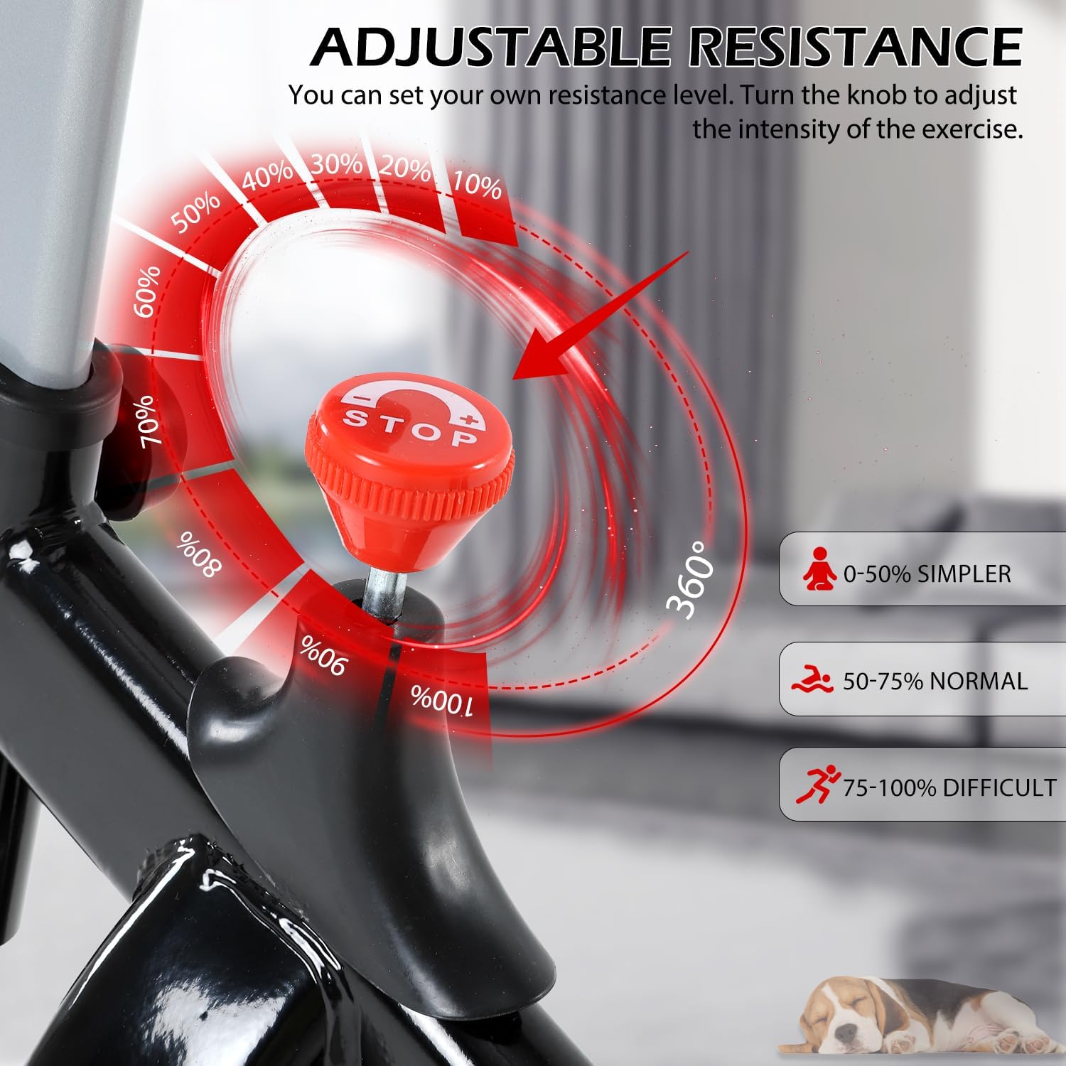 ISE Velo Appartement Volant d'Inertie 13KG Cardio Silencieux Réglable en Hauteur