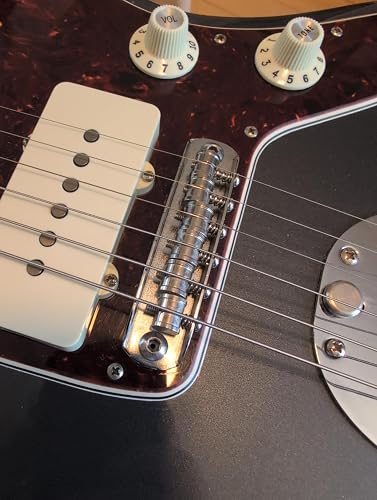 Amazon.co.jp: Fender American Professional Jaguar/Jazzmaster