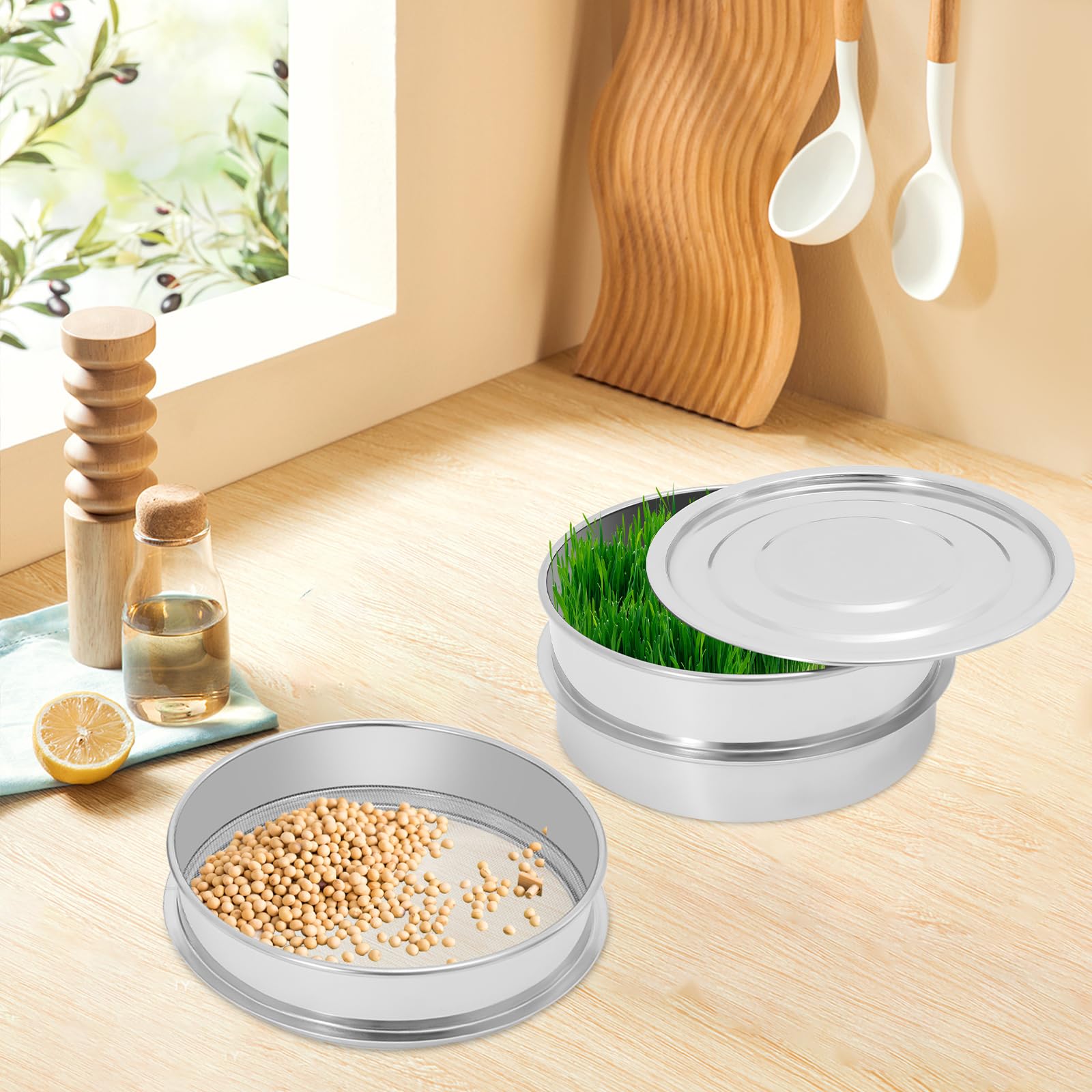 Kit de culture de germes en acier inoxydable double couche avec couvercle, pour graines de cresson, graines de cresson, bac de culture avec réservoir d'eau pour les semis dans la cuisine