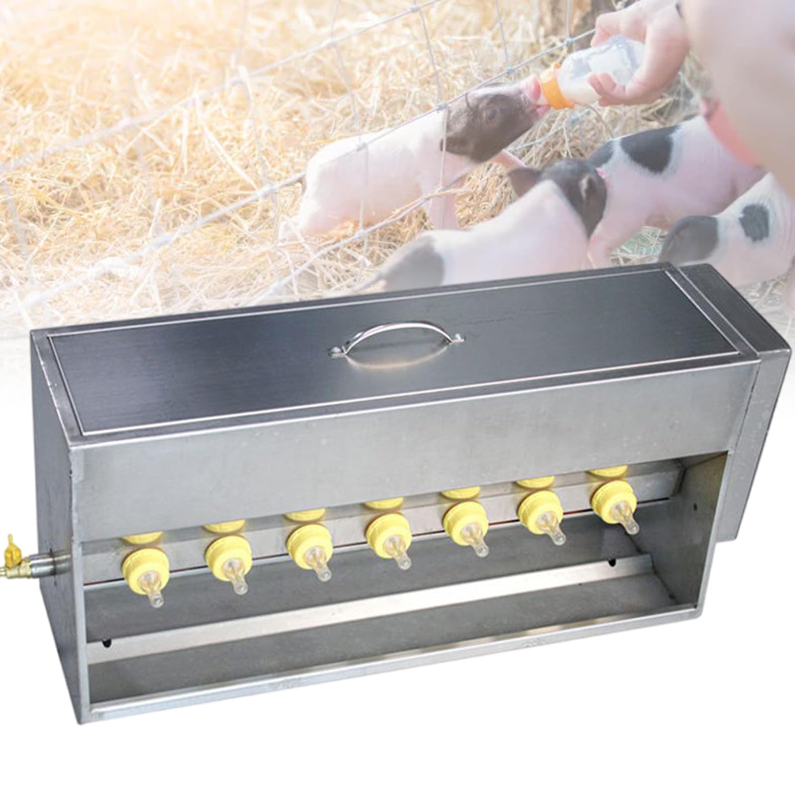 Mangiatoia automatica per suinetti con controllo della temperatura, 10/14 capezzoli, attrezzatura per l'alimentazione di piccoli animali, ideale per le fattorie, soluzione di alimentazione efficiente