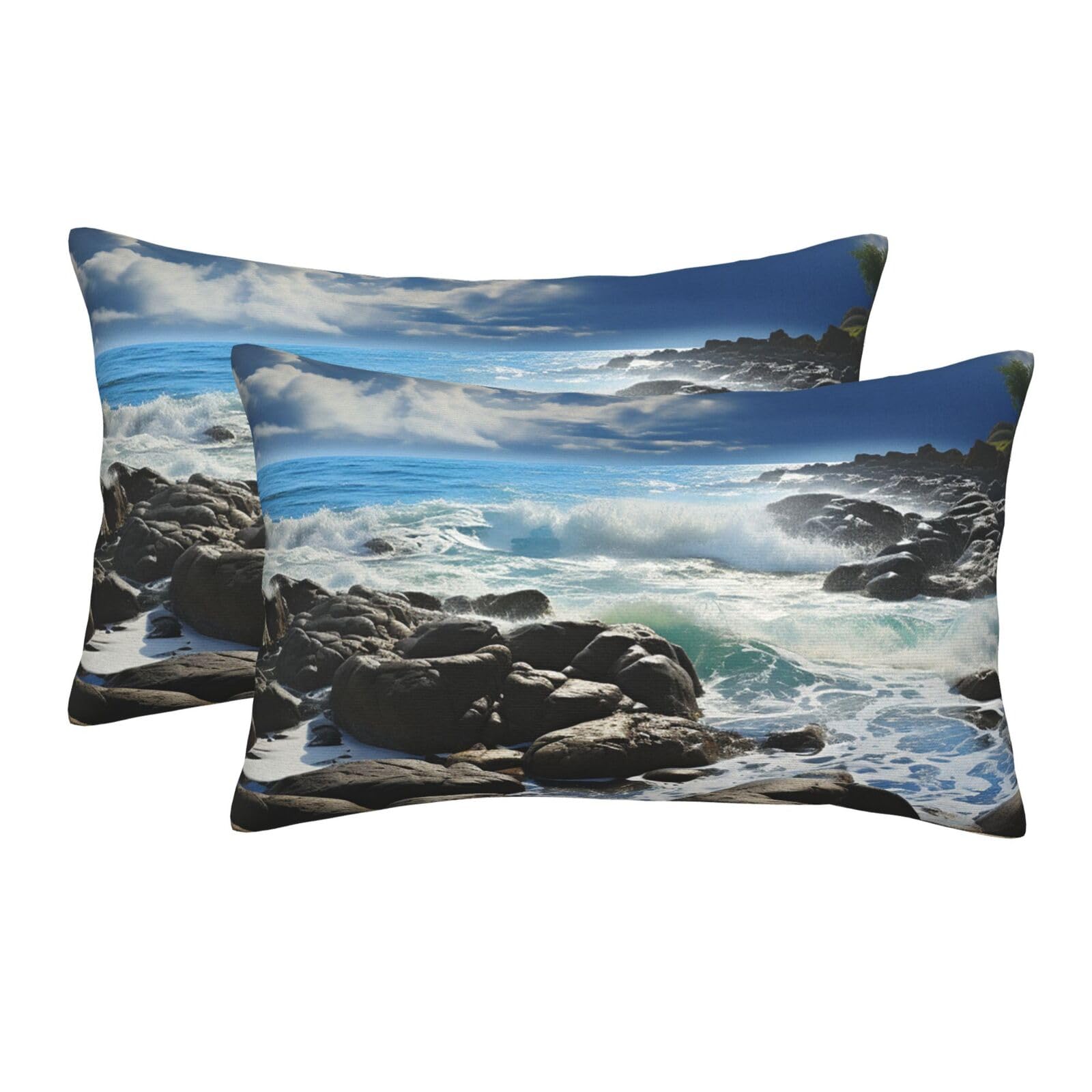 2 Pack Pillow Cases with Hidden Zipper, Soft Breathable Pillow Covers for Hair and Skin, Ocean Pouring Over Coastal Rocks Pillowcases 14"x20" Bed Pillow Protectors Cover for Sleeping Gifts