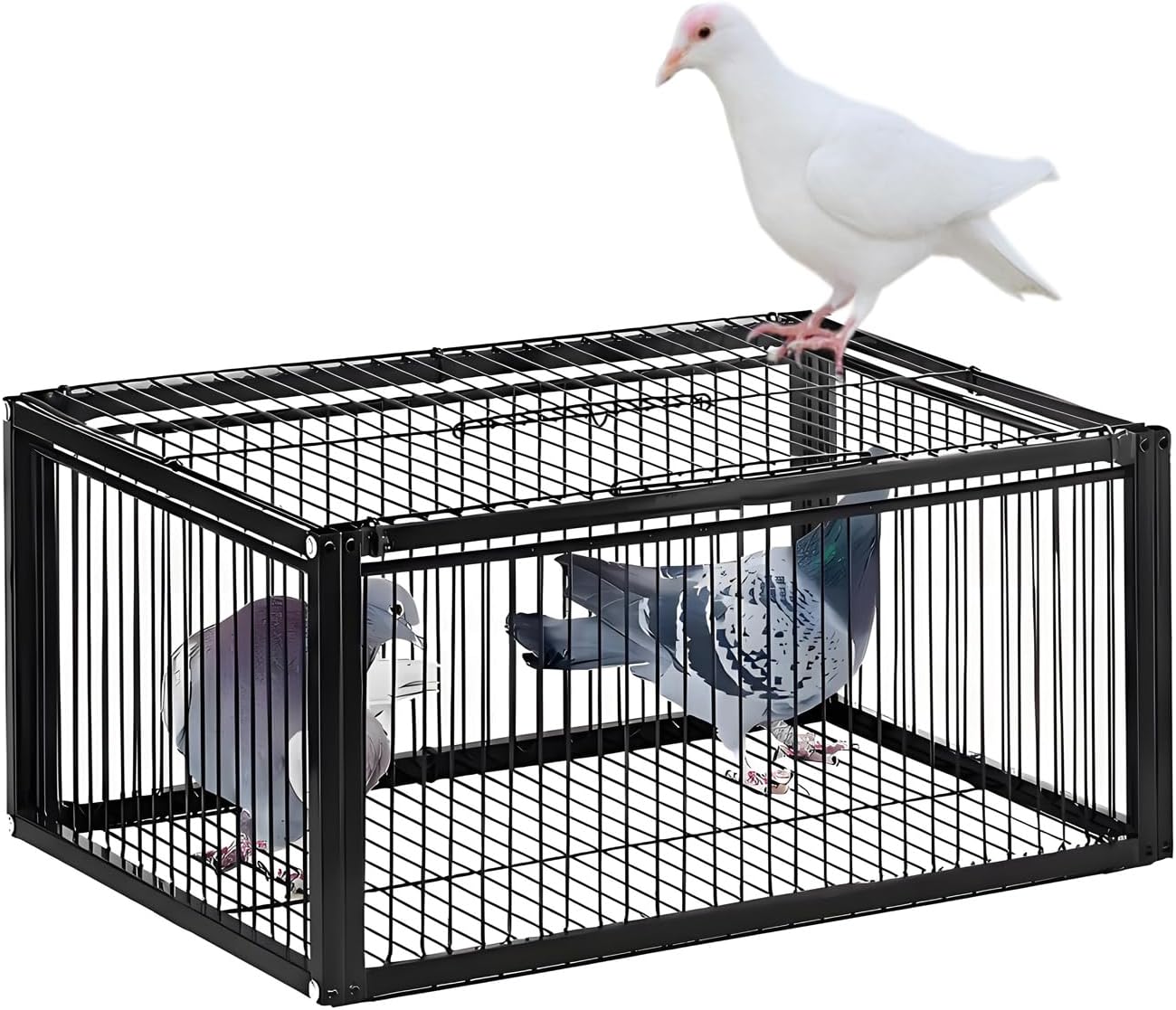 Pigeon Trap Cage, One-Way Entrance Escape-Proof Bird Traps, Easy to Install Outdoor Harmless Live Birds Cages for Catch Pigeons, Sparrow, Chicken, Lofts (Standard)