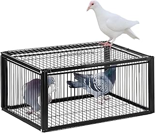 Pigeon Trap Cage, One-Way Entrance Escape-Proof Bird Traps, Easy to Install Outdoor Harmless Live Birds Cages for Catch Pigeons, Sparrow, Chicken, Lofts (Standard)