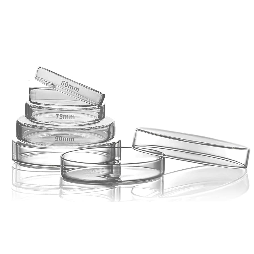 ガラス細工 歯の7点セット ガラス細工 歯の7点セット