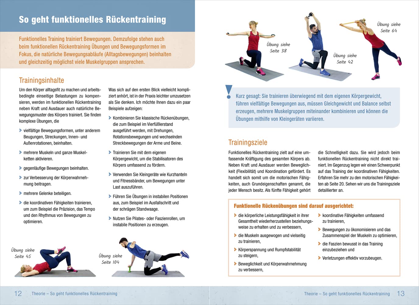 Rückentraining: Funktionelle Übungen für einen gesunden & starken Rücken - 2. Auflage 2025 - (Trainingsreihe von Ronald Thomschke)