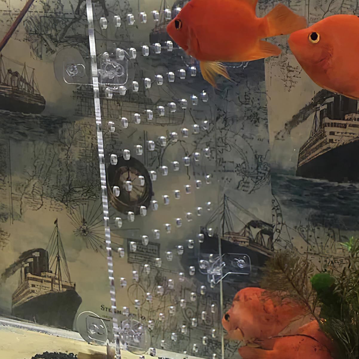 Popetpop Separador De Pecera AcríLico Transparente 9.64X8.26In Divisor para Acuario Accesorios para Peceras Durable Y FáCil De Instalar