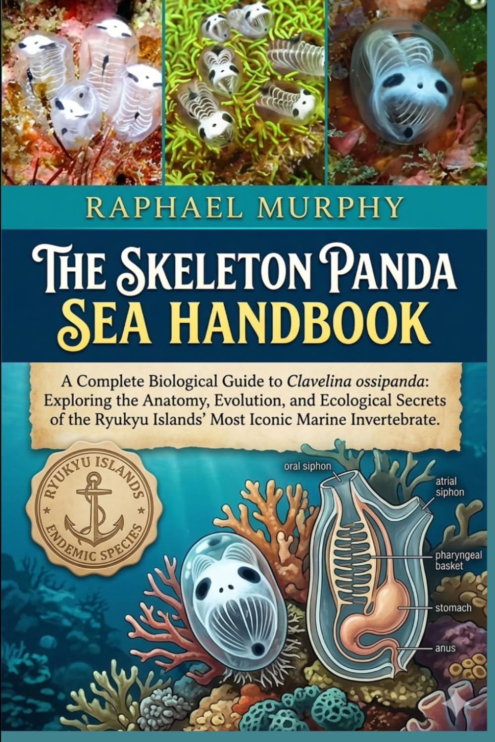 THE SKELETON PANDA SEA HANDBOOK: A Complete Biological Guide to Clavelina ossipanda: Exploring the Anatomy, Evolution, and Ecological Secrets of the Ryukyu Islands' Most Iconic Marine Invertebrate.