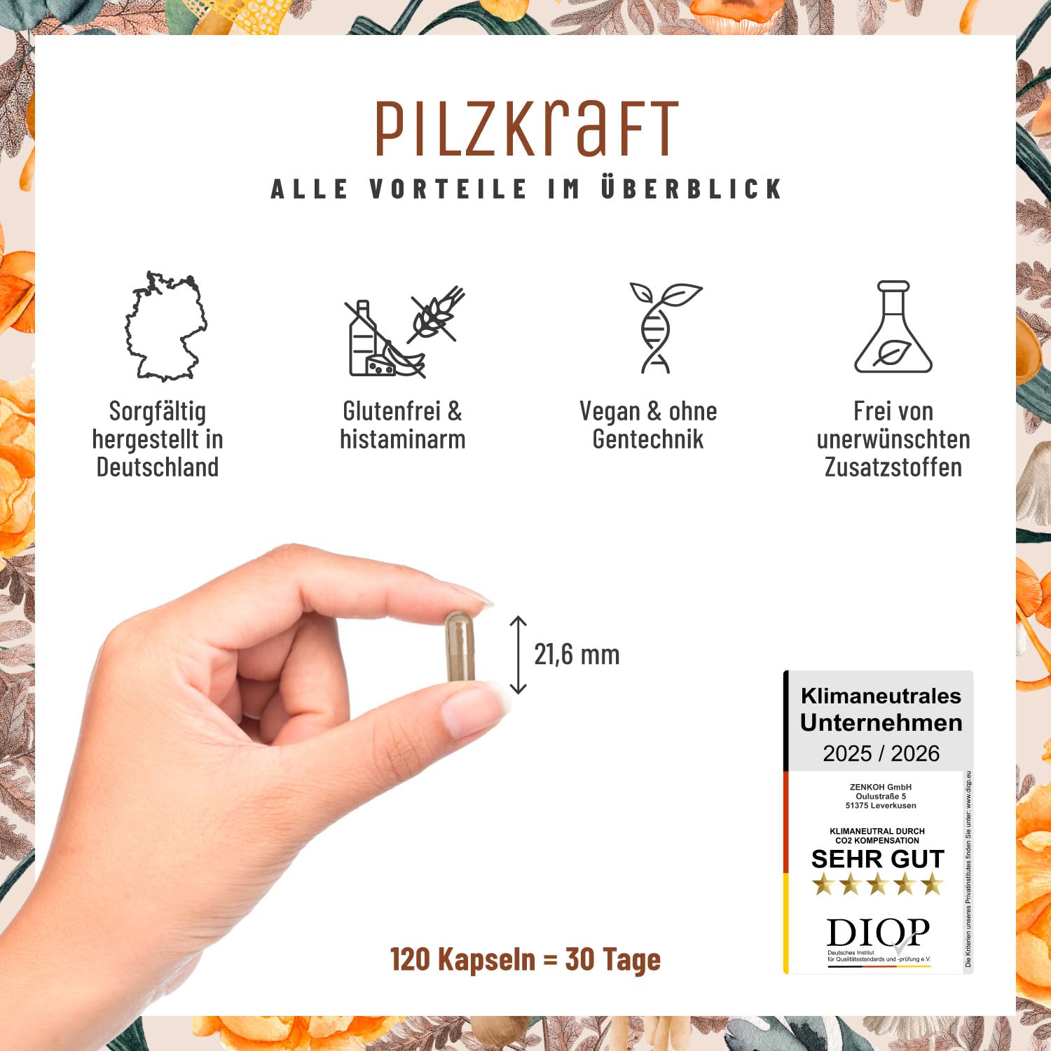 NATURTREU® Pilz Komplex hochdosiert 120 Kapseln mit Hericium Erinaceus (Lions Mane) Extrakt, Chaga, Reishi Extrakt, Shiitake Extrakt, Beta Glucan, Vitamin B2, B5 & B6