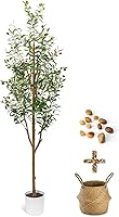 LuceAlberi 6FT Realistic Artificial Olive Tree with Pot Basket - Faux Indoor Olive Plant with Fruits for Home Office Decor