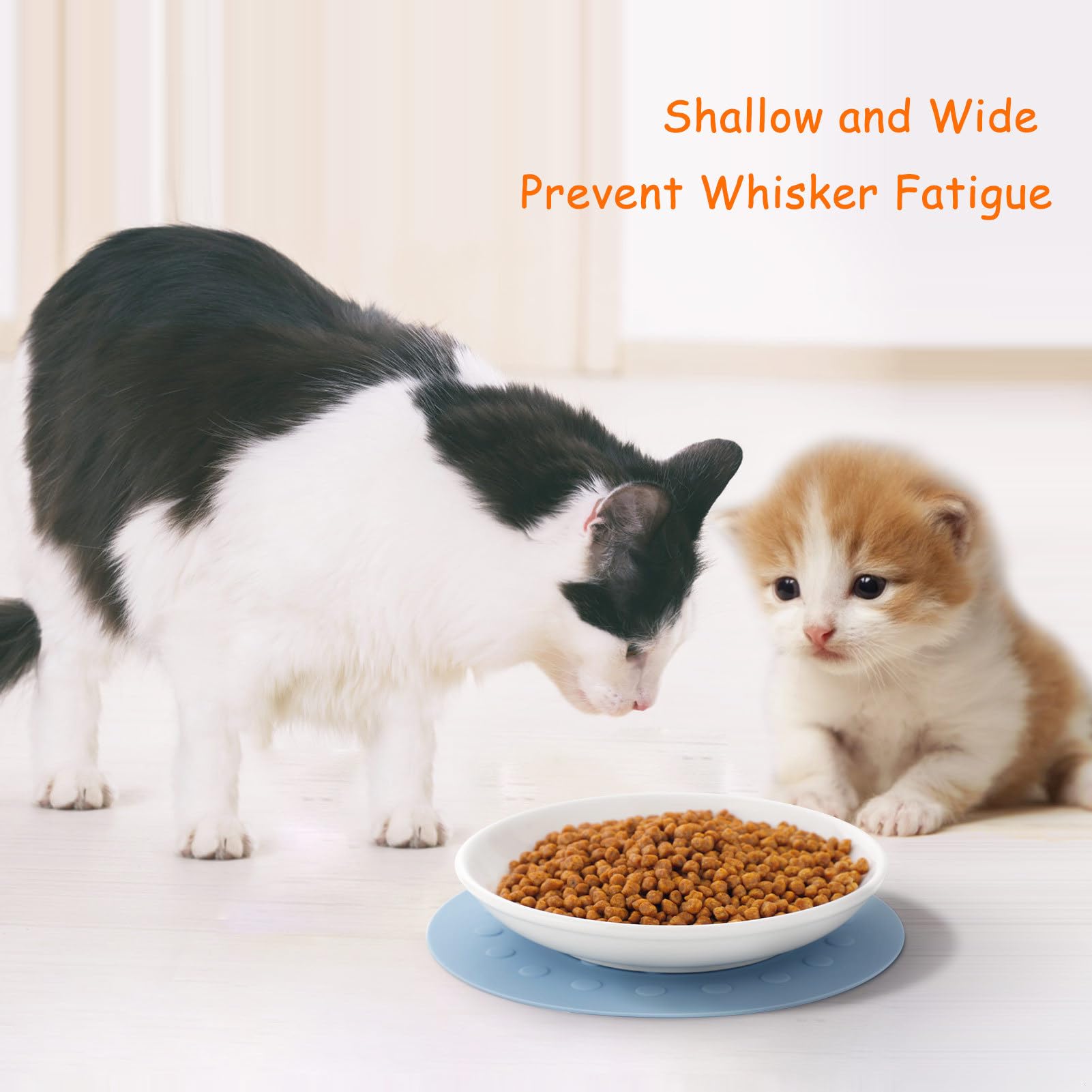 Lot de 3 gamelles pour chat en céramique : comprend une gamelle pour chiot et une gamelle d'eau avec tapis de gamelle