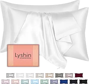 Mulberry Silk Pillow Cases 2 Pack Standard Size 20x26 Inches with Hidden Zipper, Ultra Smooth and Soft Breathable Cooling Silk Satin Pillowcase Set of 2, Better for Hair and Skin, Gifts for Women Men