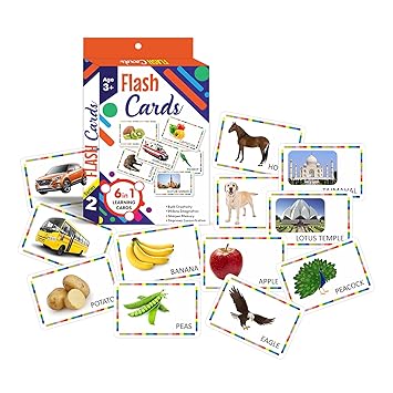 NHR Activity Flash Cards 6 in 1 Fruits, Transports, Vegetables , Animals, Birds and Historical Places Activity for Pre-School Learning (Series-2, Age 3+, 54 Double Side Card)