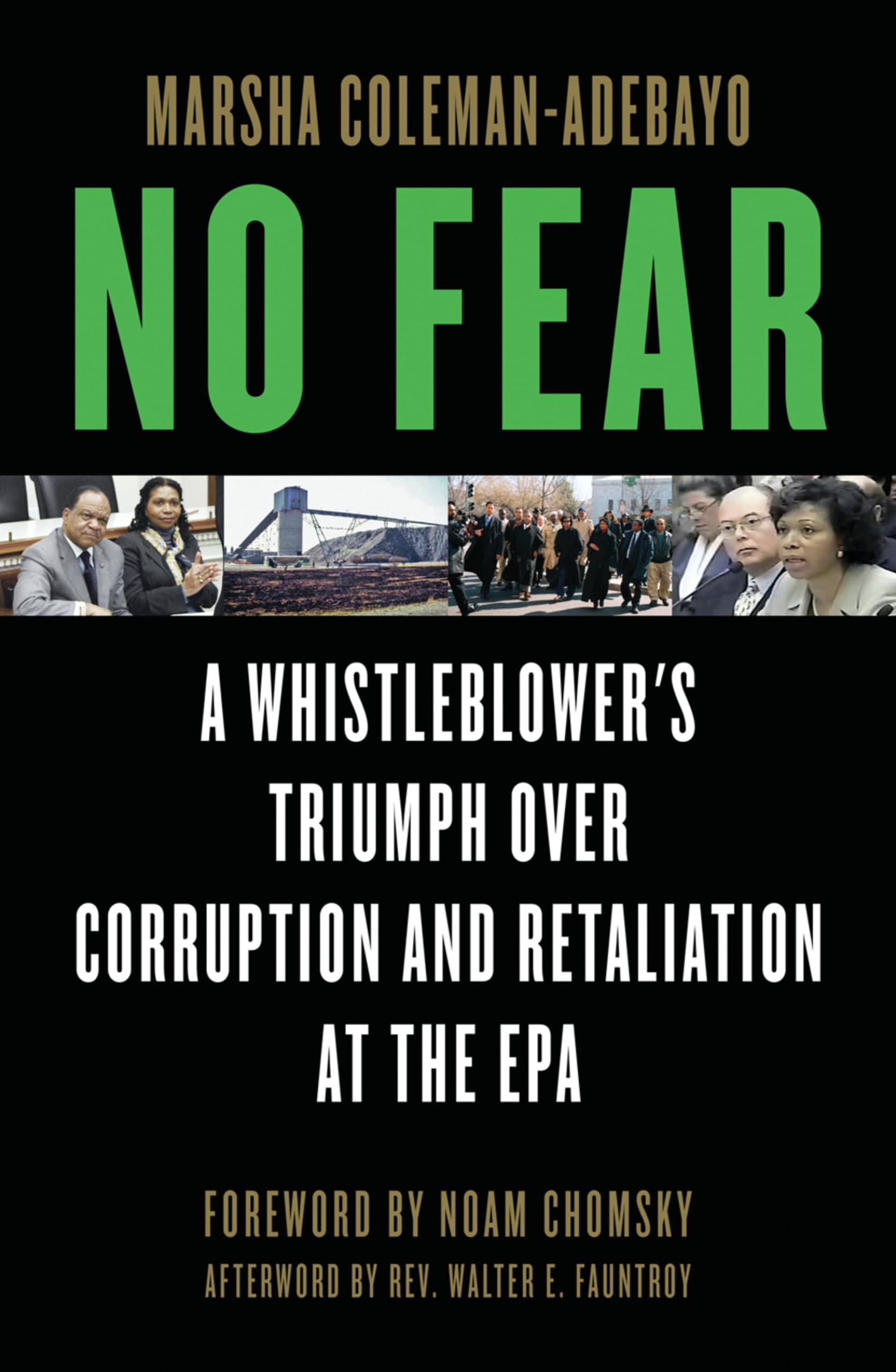 Buy No Fear: A Whistleblower's Triumph Over Corruption and Retaliation at the EPA — BookShops.in