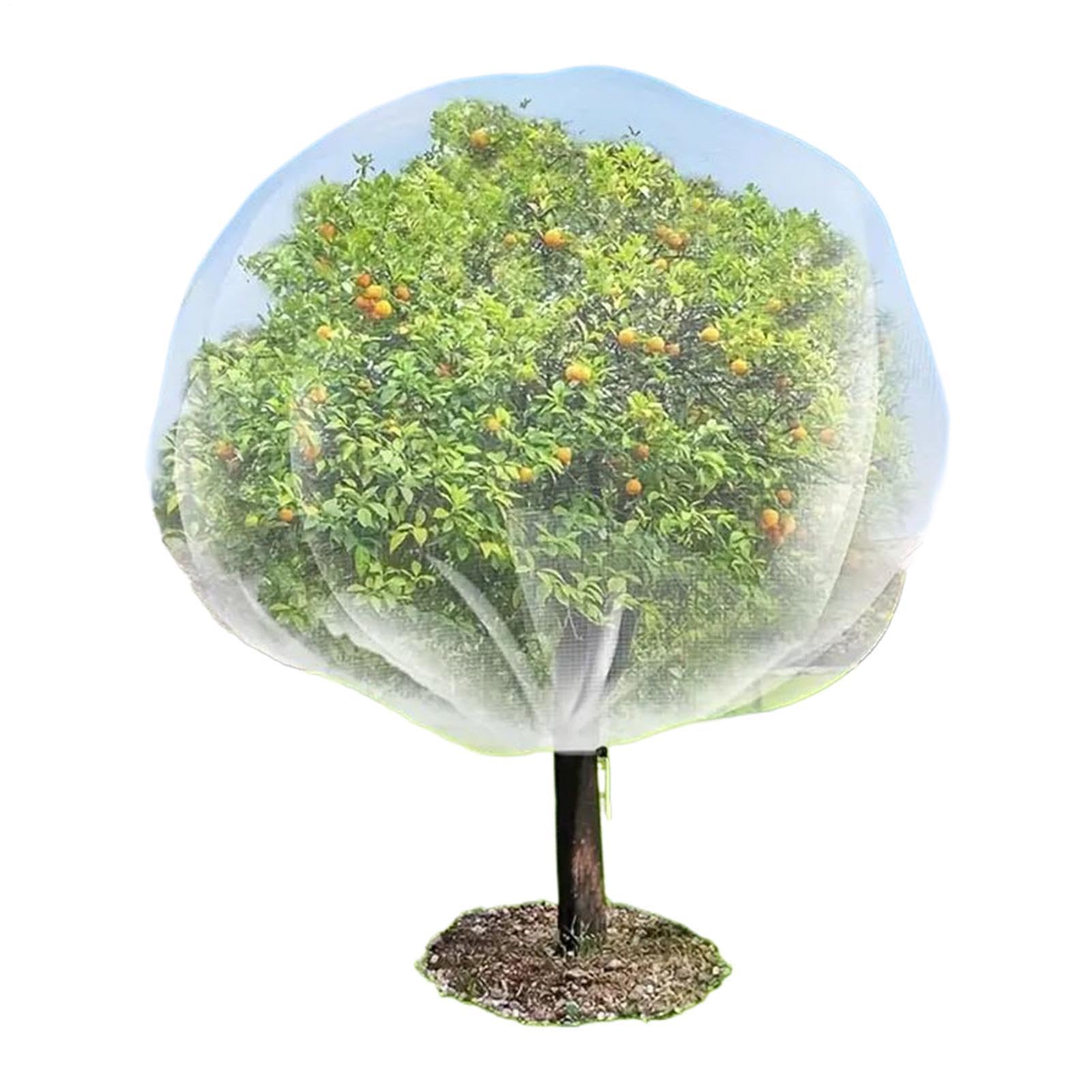 Filet anti-oiseaux pour arbres fruitiers évitant les fruits abîmés