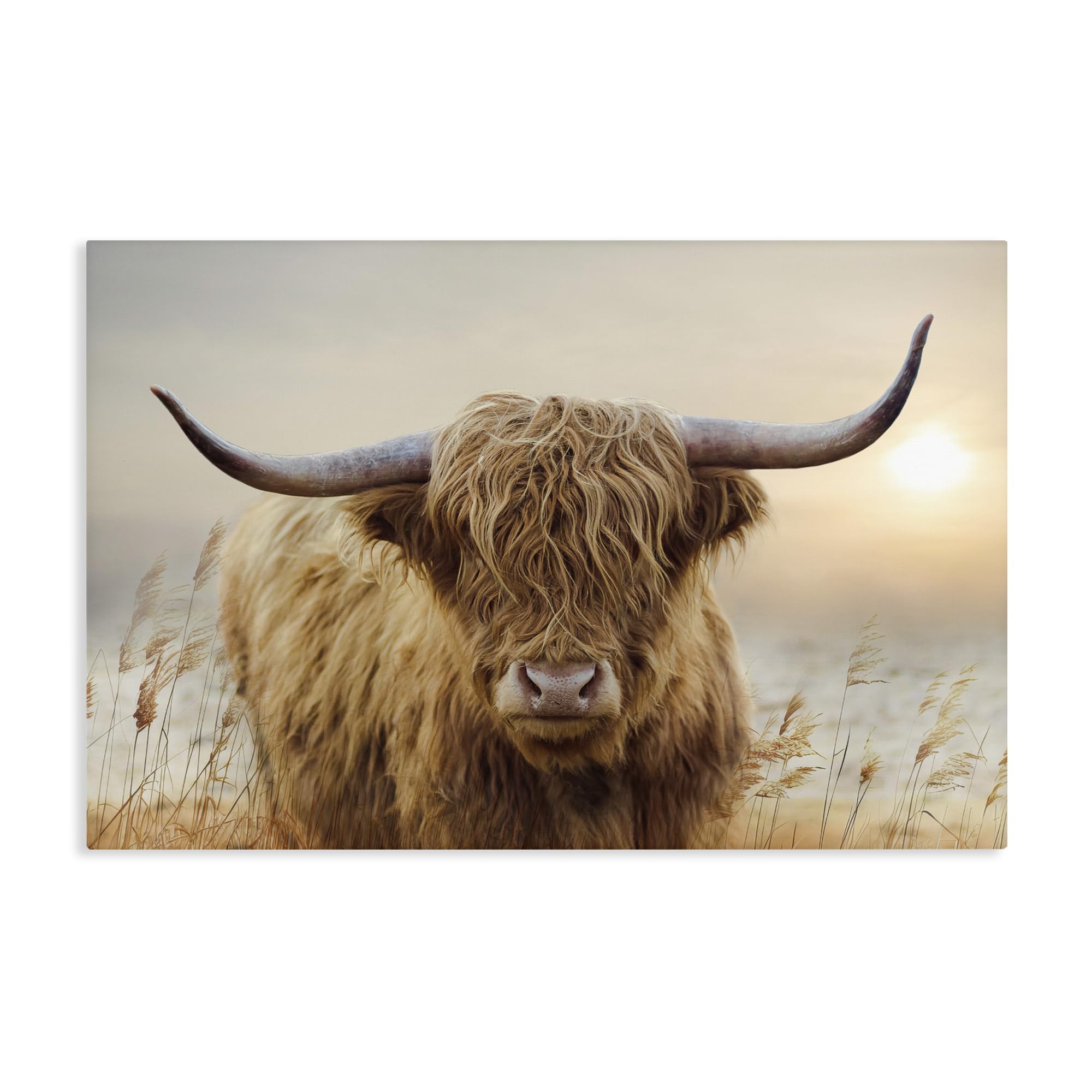 Stupell Industries Unframed Highland Cow Sunset Landscape, 20 X 30 Inch Canvas Wall Art