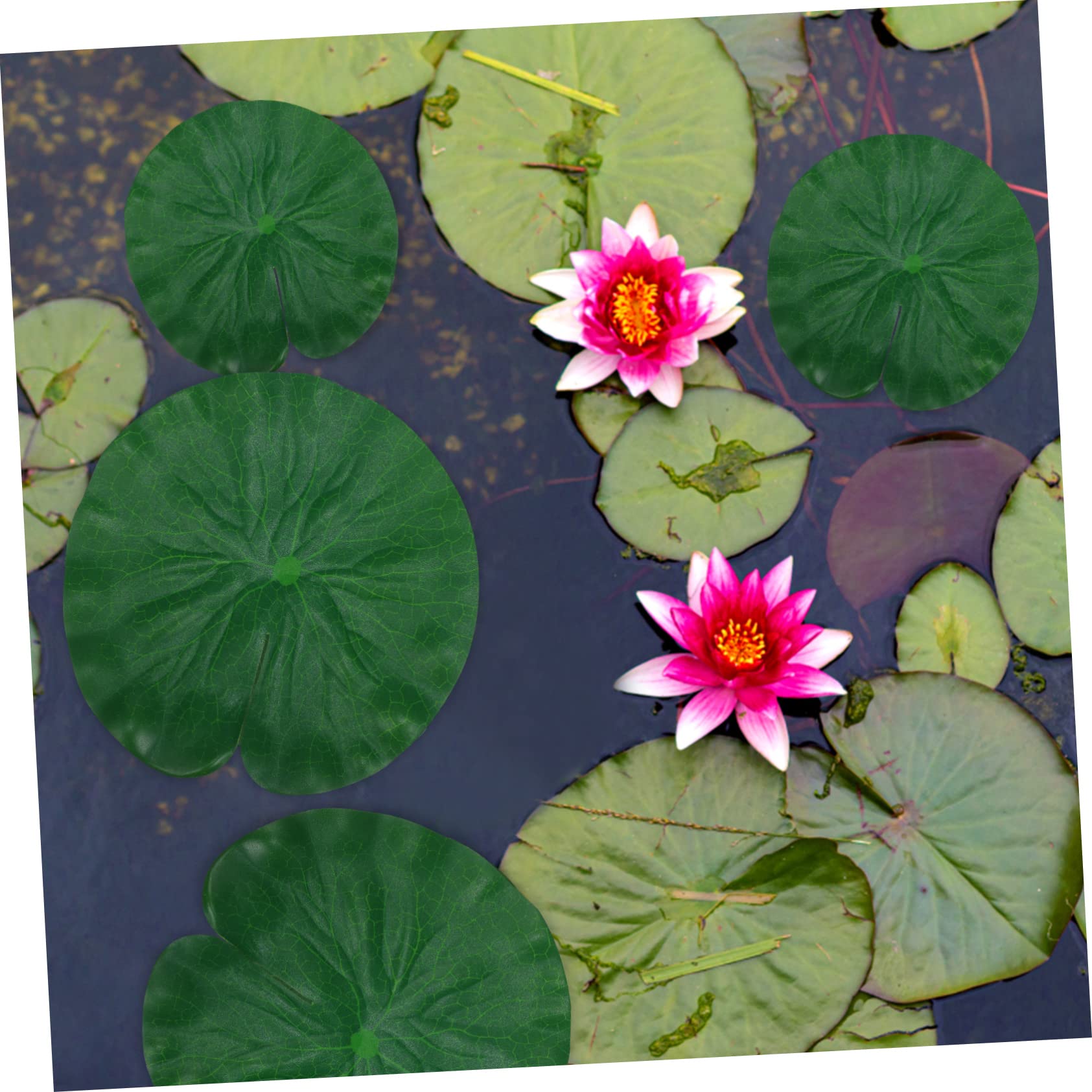 Mobestech 5 Set Foglie Artificiali Finte Simulate Per Acquario Decorazione Galleggiante Per Piscina Laghetto Giardino Acquatico Piante Realistiche Per Acquario 16 pezzi * 5
