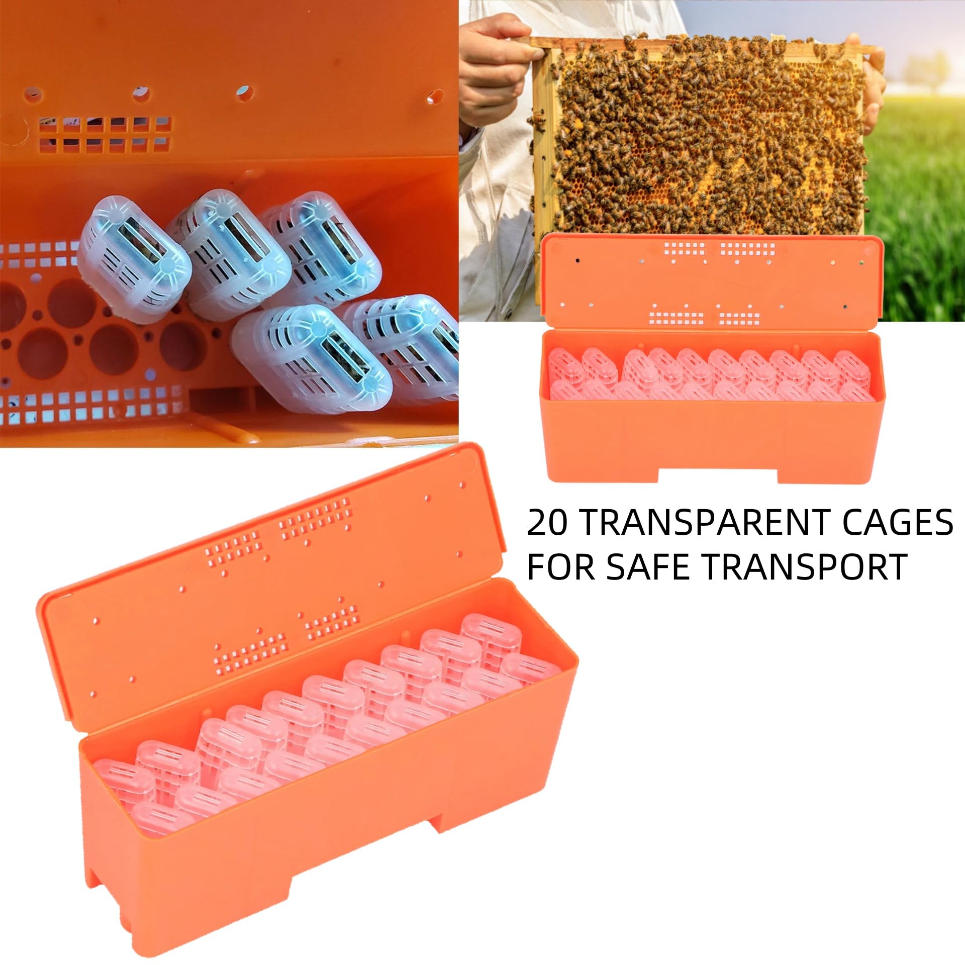 Amazon.com: Queen Bee Box, Bee Queen Rearing Cages Transporting