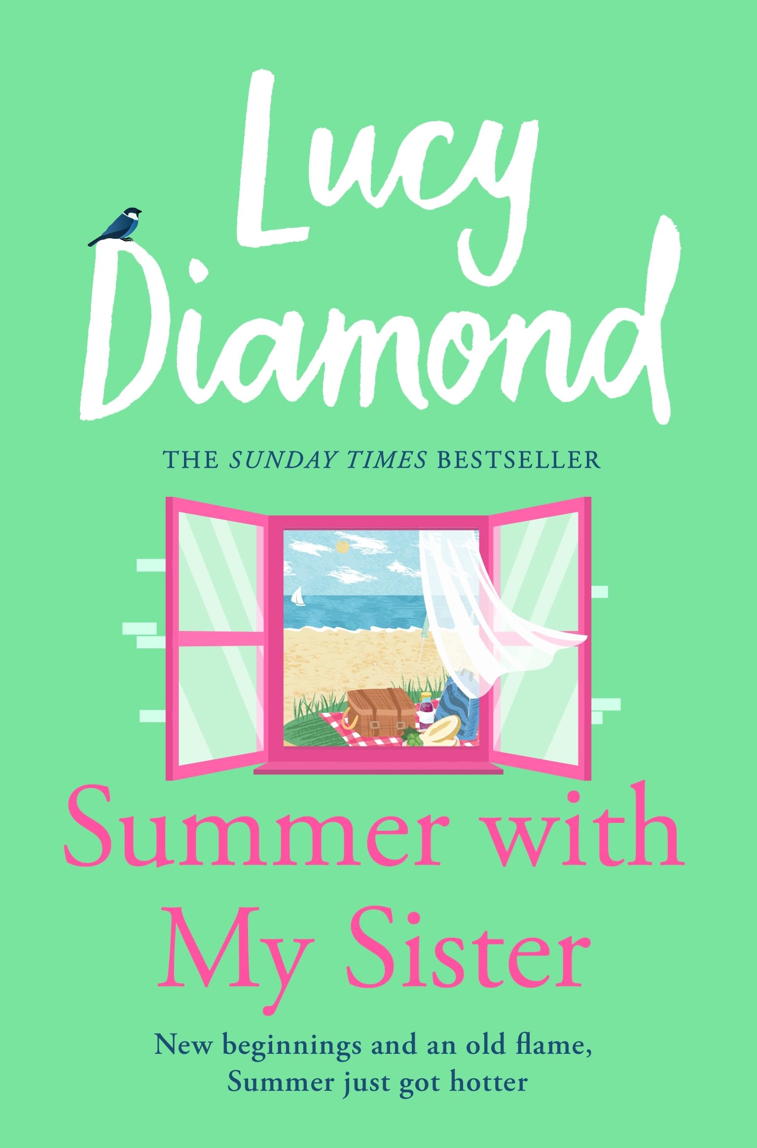 Summer With My Sister by Lucy Diamond (Paperback Book)